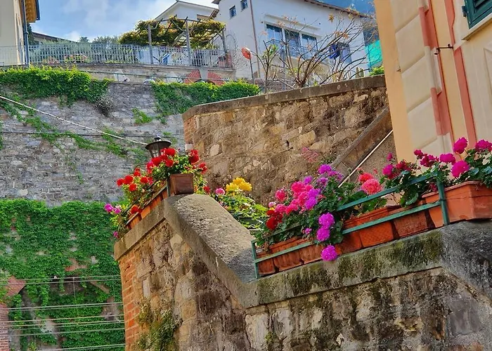 Vasto Panoramico 3 Min Mare * Camogli